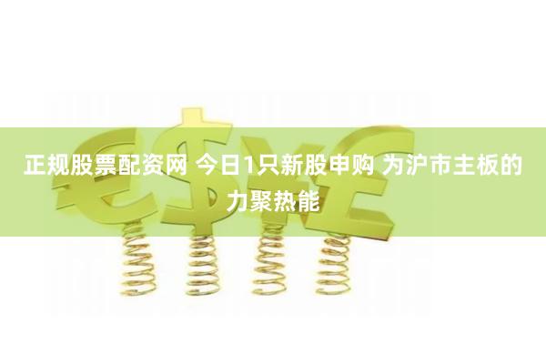 正规股票配资网 今日1只新股申购 为沪市主板的力聚热能