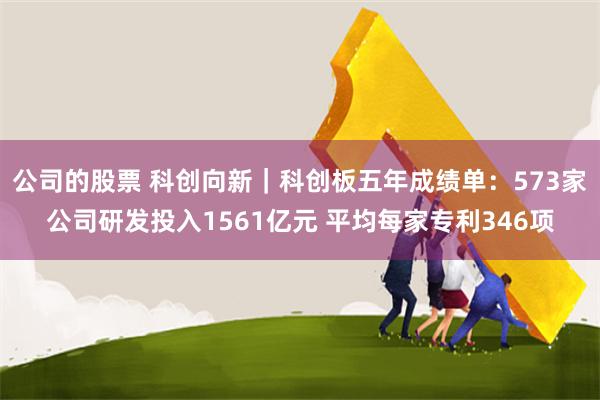 公司的股票 科创向新｜科创板五年成绩单：573家公司研发投入1561亿元 平均每家专利346项