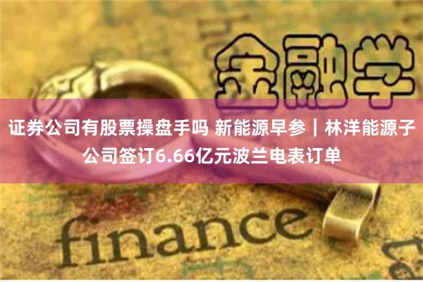 证券公司有股票操盘手吗 新能源早参｜林洋能源子公司签订6.66亿元波兰电表订单