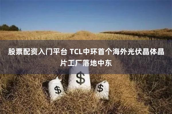 股票配资入门平台 TCL中环首个海外光伏晶体晶片工厂落地中东