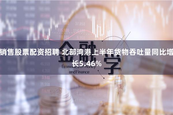 销售股票配资招聘 北部湾港上半年货物吞吐量同比增长5.46%