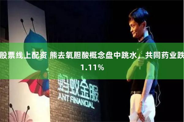 股票线上配资 熊去氧胆酸概念盘中跳水，共同药业跌1.11%