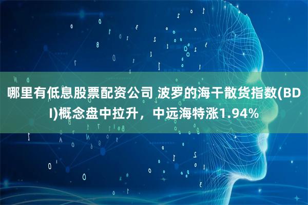哪里有低息股票配资公司 波罗的海干散货指数(BDI)概念盘中拉升，中远海特涨1.94%