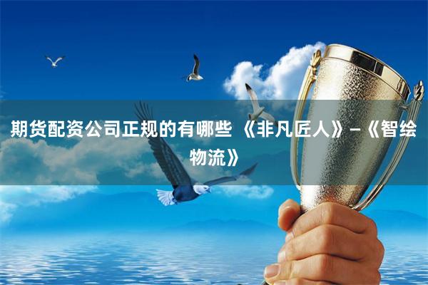期货配资公司正规的有哪些 《非凡匠人》—《智绘物流》