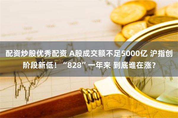 配资炒股优秀配资 A股成交额不足5000亿 沪指创阶段新低！“828”一年来 到底谁在涨？