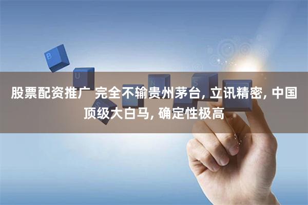 股票配资推广 完全不输贵州茅台, 立讯精密, 中国顶级大白马, 确定性极高
