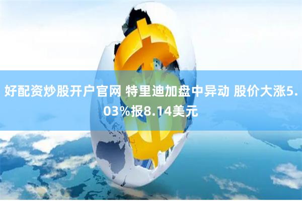 好配资炒股开户官网 特里迪加盘中异动 股价大涨5.03%报8.14美元