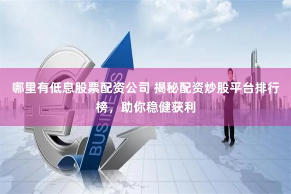 哪里有低息股票配资公司 揭秘配资炒股平台排行榜，助你稳健获利