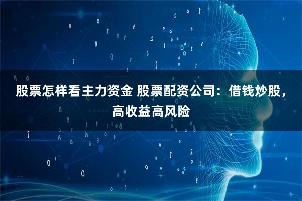 股票怎样看主力资金 股票配资公司：借钱炒股，高收益高风险